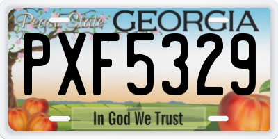 GA license plate PXF5329
