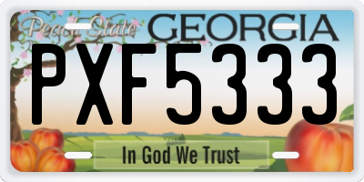 GA license plate PXF5333