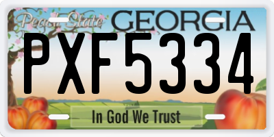 GA license plate PXF5334