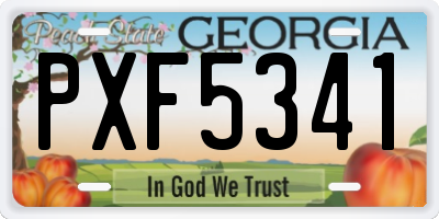 GA license plate PXF5341