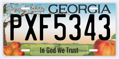 GA license plate PXF5343