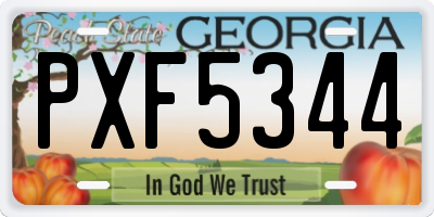GA license plate PXF5344