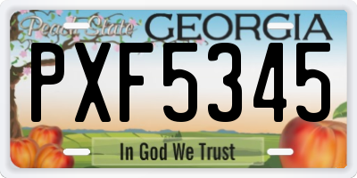 GA license plate PXF5345