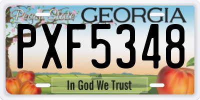 GA license plate PXF5348