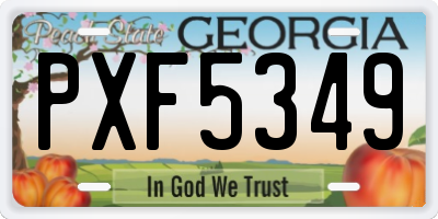 GA license plate PXF5349