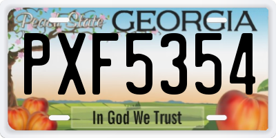 GA license plate PXF5354