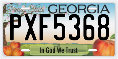 GA license plate PXF5368