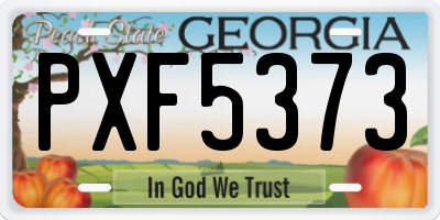 GA license plate PXF5373