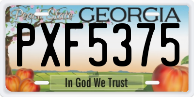 GA license plate PXF5375