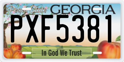 GA license plate PXF5381