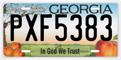 GA license plate PXF5383