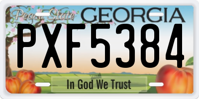 GA license plate PXF5384