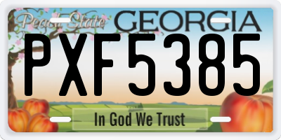 GA license plate PXF5385