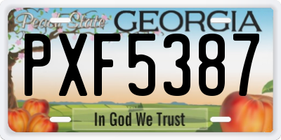 GA license plate PXF5387