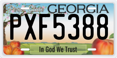 GA license plate PXF5388