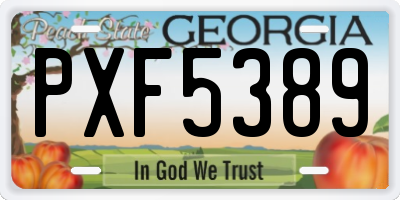 GA license plate PXF5389