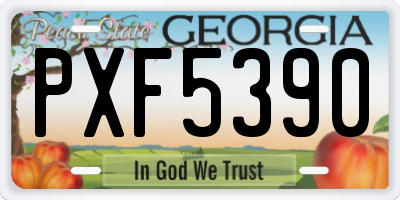 GA license plate PXF5390
