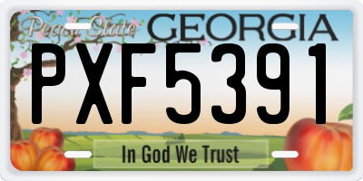 GA license plate PXF5391