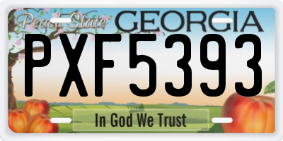 GA license plate PXF5393