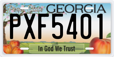 GA license plate PXF5401