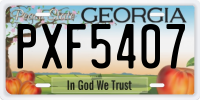 GA license plate PXF5407