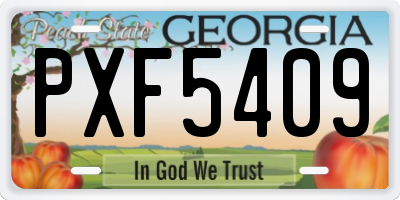GA license plate PXF5409