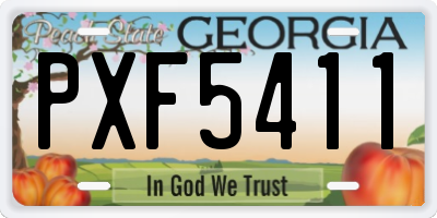GA license plate PXF5411
