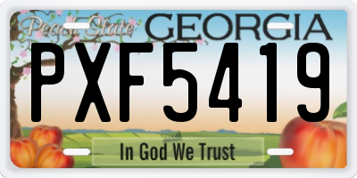 GA license plate PXF5419