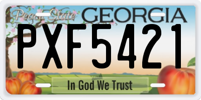 GA license plate PXF5421
