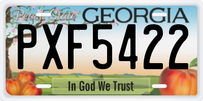GA license plate PXF5422