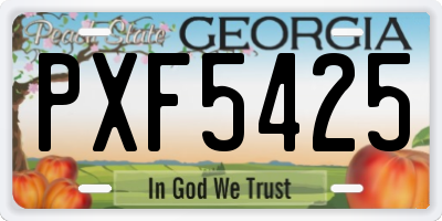 GA license plate PXF5425