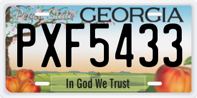 GA license plate PXF5433