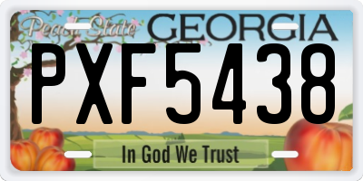 GA license plate PXF5438