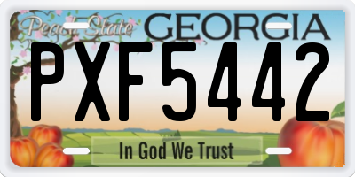 GA license plate PXF5442