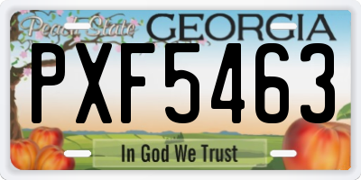 GA license plate PXF5463