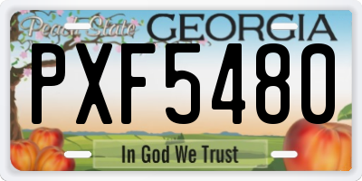 GA license plate PXF5480