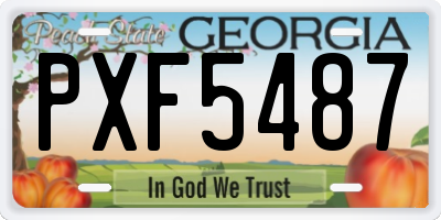 GA license plate PXF5487