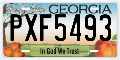 GA license plate PXF5493
