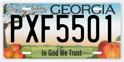GA license plate PXF5501