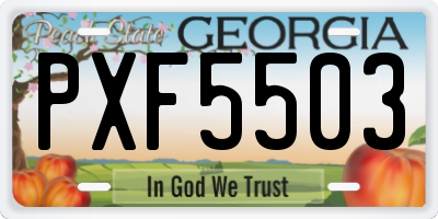GA license plate PXF5503