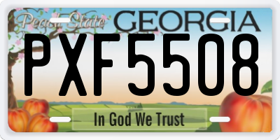 GA license plate PXF5508