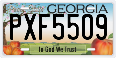 GA license plate PXF5509