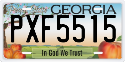 GA license plate PXF5515