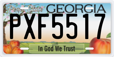 GA license plate PXF5517