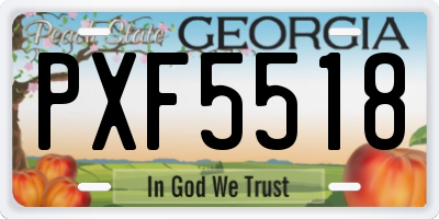 GA license plate PXF5518