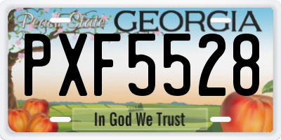 GA license plate PXF5528