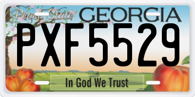 GA license plate PXF5529