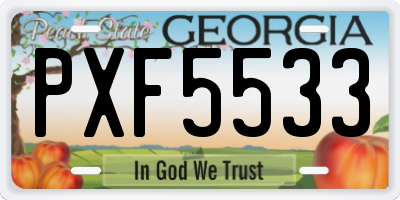 GA license plate PXF5533