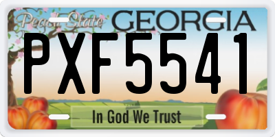 GA license plate PXF5541
