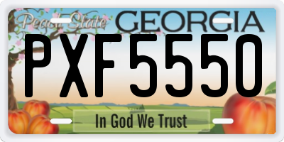 GA license plate PXF5550